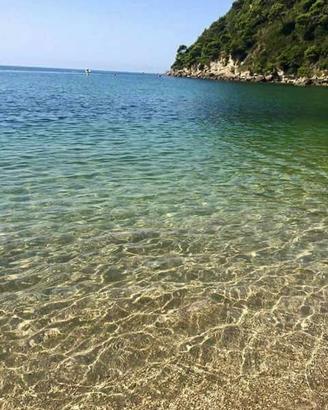 SETTIMANA 1-7 settembre appartamento
