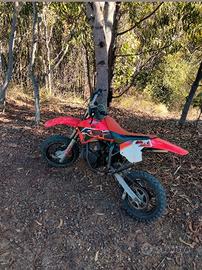 MINICROSS APRILIA RX