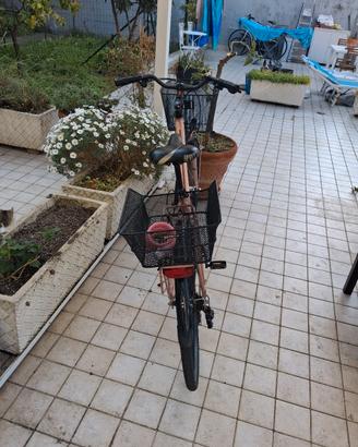 bicicletta donna botecchia