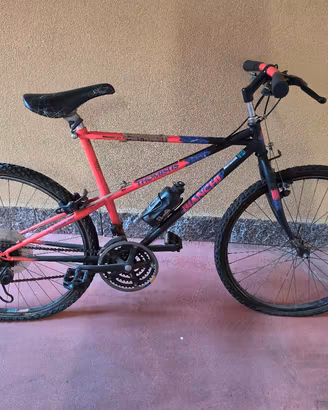 Bicicletta Bianchi Ragno Thomisus 26