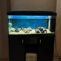 Acquario 200 litri con mobile e accessori
