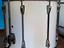 Immagine 5