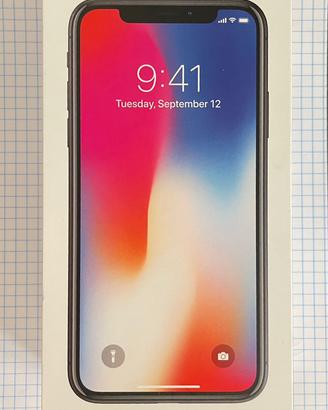 iPhone X