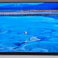 TV OLED SONY 55 POLLICI