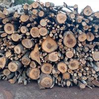 LEGNA DA ARDERE QUERCIA E CERRO. 