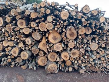 LEGNA DA ARDERE QUERCIA E CERRO. 