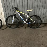 bicicletta mountain bike