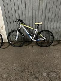 bicicletta mountain bike