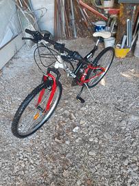 Bicicletta Fresjus FM626 