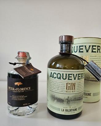 bottiglie gin  Acqueverdi e Peter in Florence