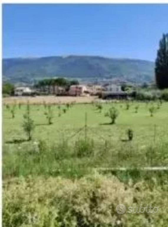 Immobile in asta di 1050 m² a Spello - Altro