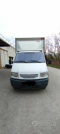 Renault mascott centinato