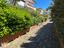 Immagine 16