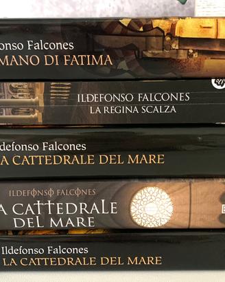 5 libri di Ildefonso Falcones