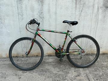 bicicletta