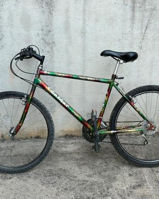 bicicletta