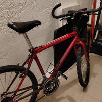 Mountain bike adulto