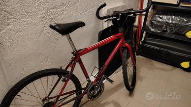 Mountain bike adulto