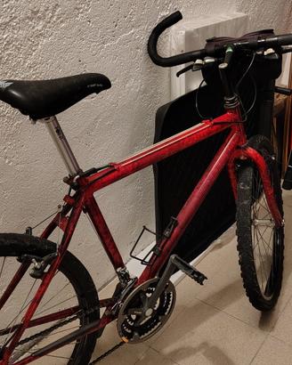 Mountain bike adulto