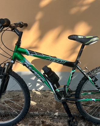 Bici da ragazzo