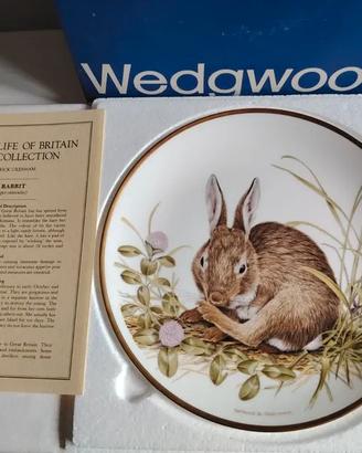 Piatto Rabbit Coniglio Porcellana inglese Wedgwood