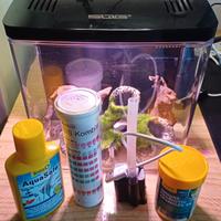 Piccolo acquario da scrivania 