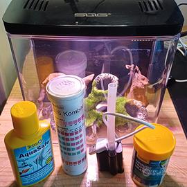 Piccolo acquario da scrivania 