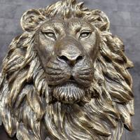 testa di leone da muro