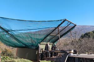 ombrello raccolta olive