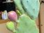 Immagine 1