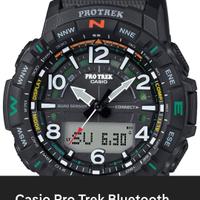 Casio Pro Trek
