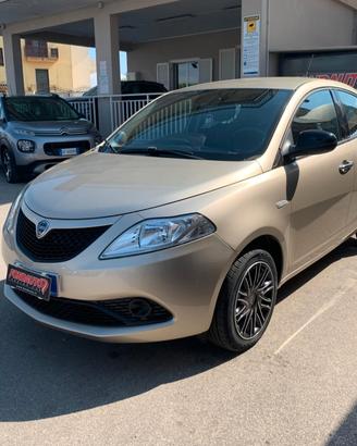 Lancia Ypsilon 1.2 69 CV 5 porte Platinum
