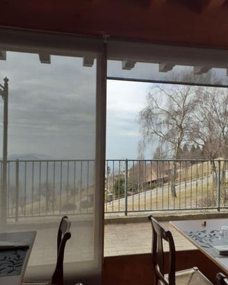 2 tende a rullo 200 x 250 cm colore grigio perla