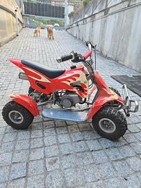 Mini quad