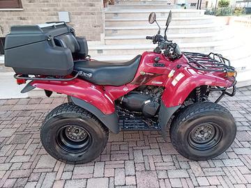 Kawasaki Altro modello - 2010