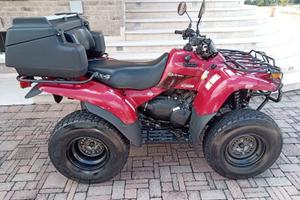 Kawasaki Altro modello - 2010