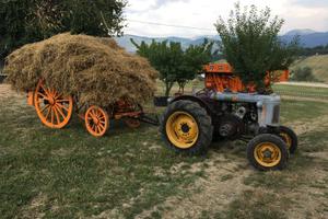 Landini L30 testa calda