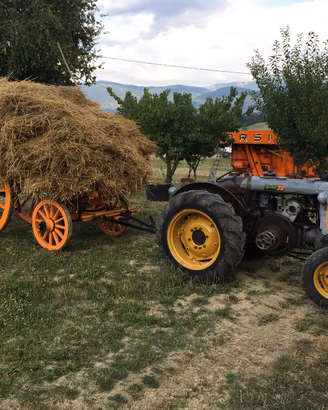 Landini L30 testa calda