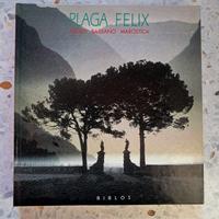 Plaga Felix. Asolo. Bassano. Marostica.Cesare Gero