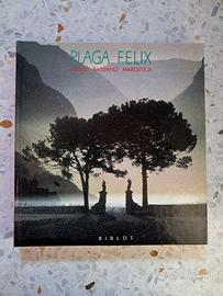 Plaga Felix. Asolo. Bassano. Marostica.Cesare Gero