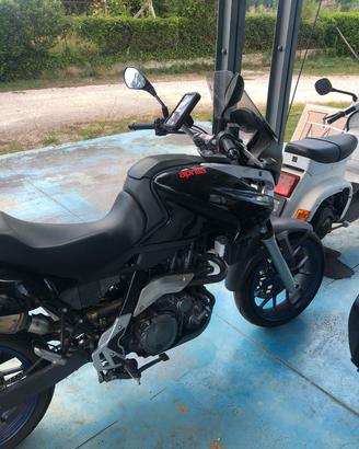 pegaso 660 strada