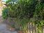 Immagine 23