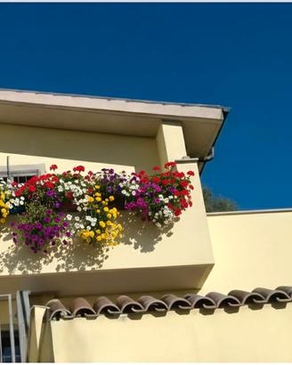 Villino angolare nel verde zona residenziale