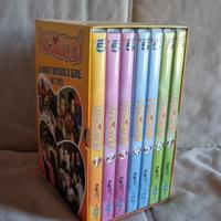 I Cesaroni- Cofanetto prima stagione