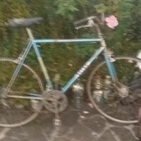 Bicicletta berga da corsa cambio campagnolo