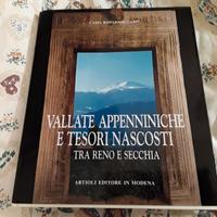 Vallate appenniniche e tesori nascosti tra Reno e 