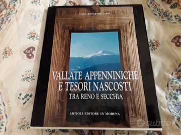 Vallate appenniniche e tesori nascosti tra Reno e 