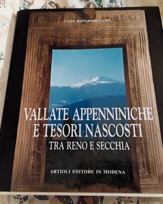 Vallate appenniniche e tesori nascosti tra Reno e 