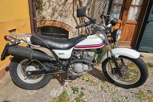 suzuki vanvan