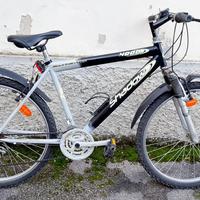 Bicicletta Mountain Bike